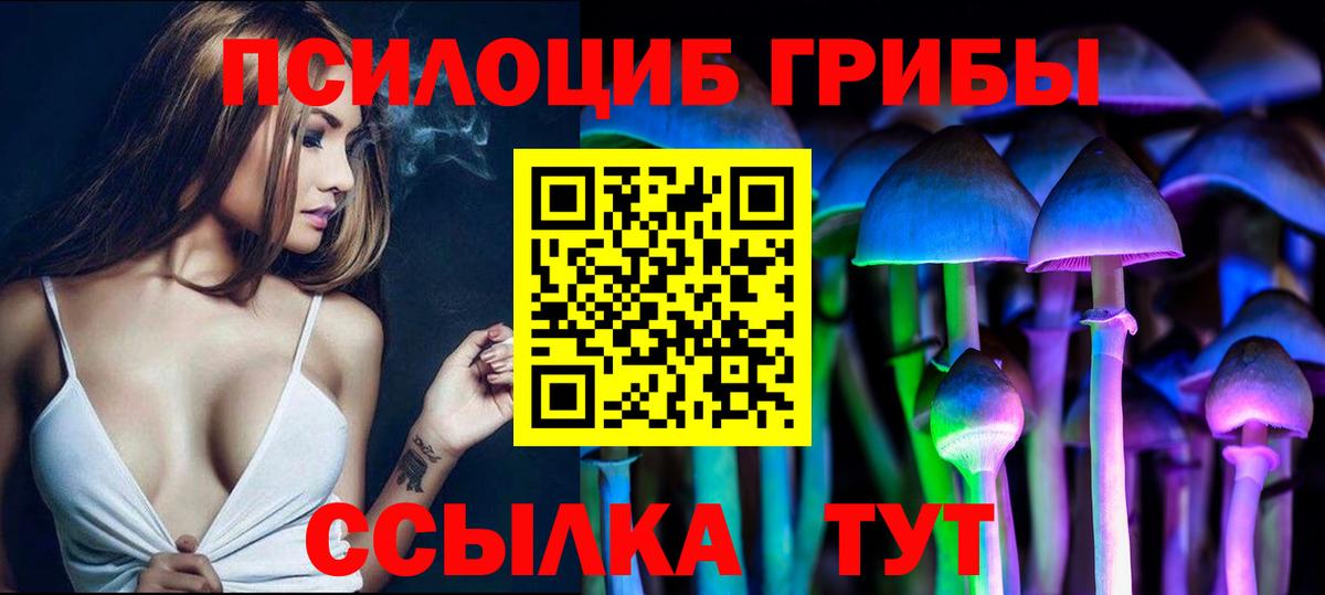 Псилоцибиновые грибы мицелий  Вход с VPN  Псилоцибиновые грибы прущие грибы  Надым 